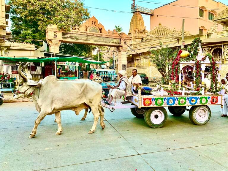 Bullock Cart India